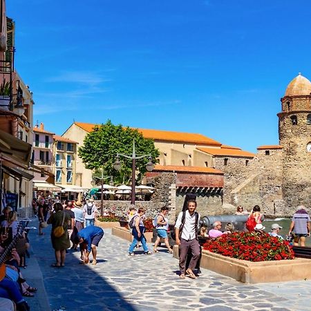 Petit Nid Catalan , 10 Minutes Des Plages Perpignan Eksteriør billede