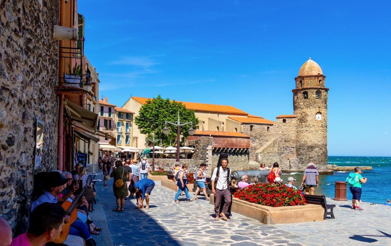 Petit Nid Catalan , 10 Minutes Des Plages Perpignan Eksteriør billede
